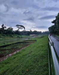 Waterfront @ Faber (D5), Apartment #478298041